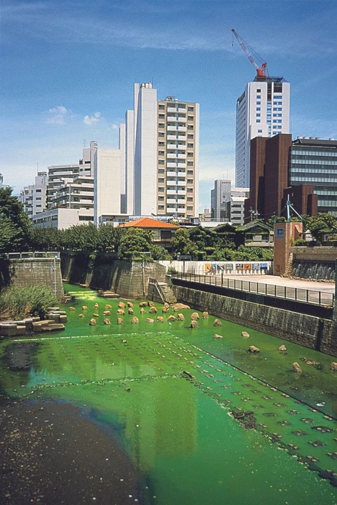 Râul verde, 1998 Tokyo, 2001 – 1998 Fotografie : Olafur Eliasson
